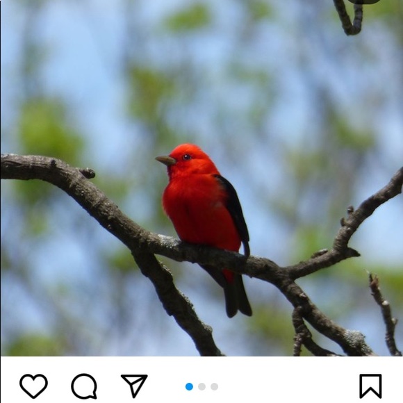 Meet your Posher, Maria - Picture 1 of 1